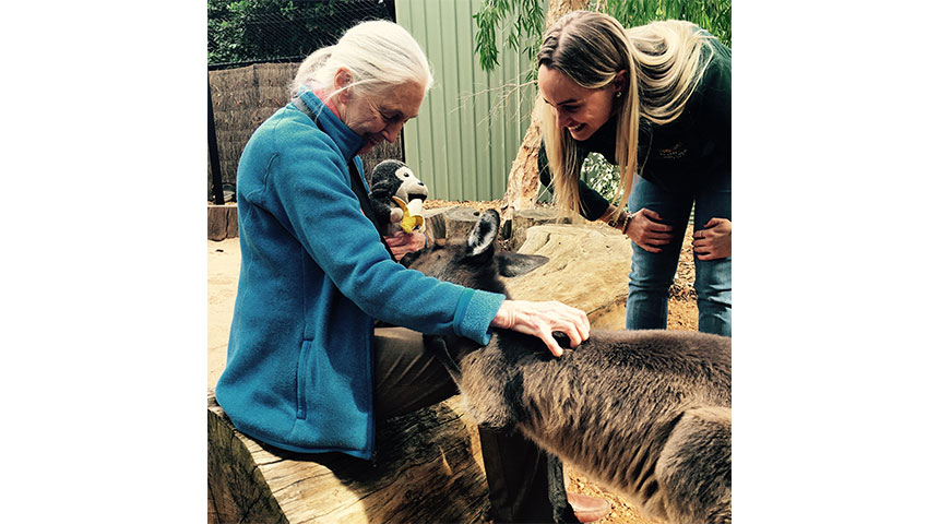 Jane Goodall with Holly